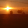 20110815-063544-LS60.jpg
