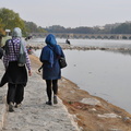 20111111-141329-D90.jpg