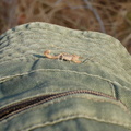 20111124-074134-LS60.jpg