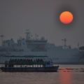 20111207-175239-D90.jpg