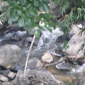 20111217-112607-D90.jpg