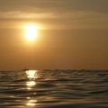 20111220-174530-LS60.jpg