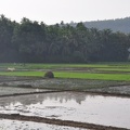 20111222-162604-D90.jpg