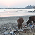 20120115-181614-D90.jpg