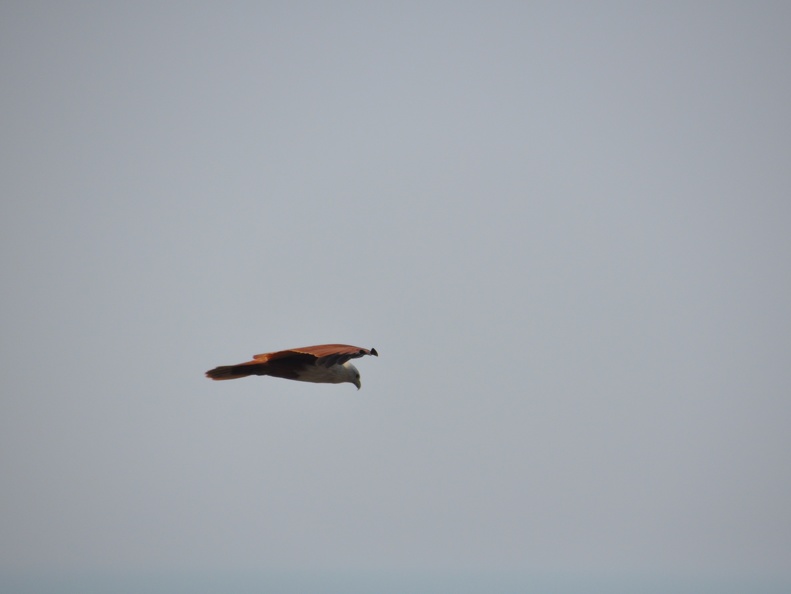 20120116-104131-D90