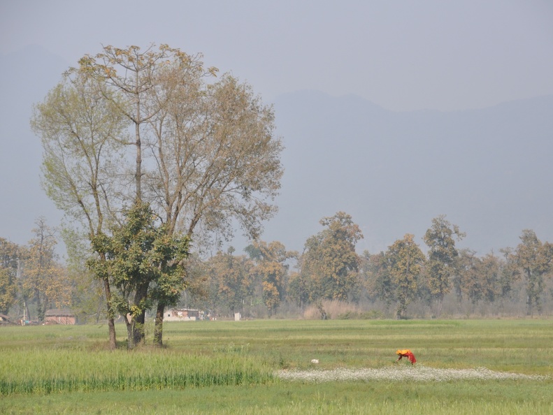 20120303-144846-D90