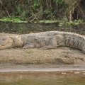 20120305-170103-D90.jpg