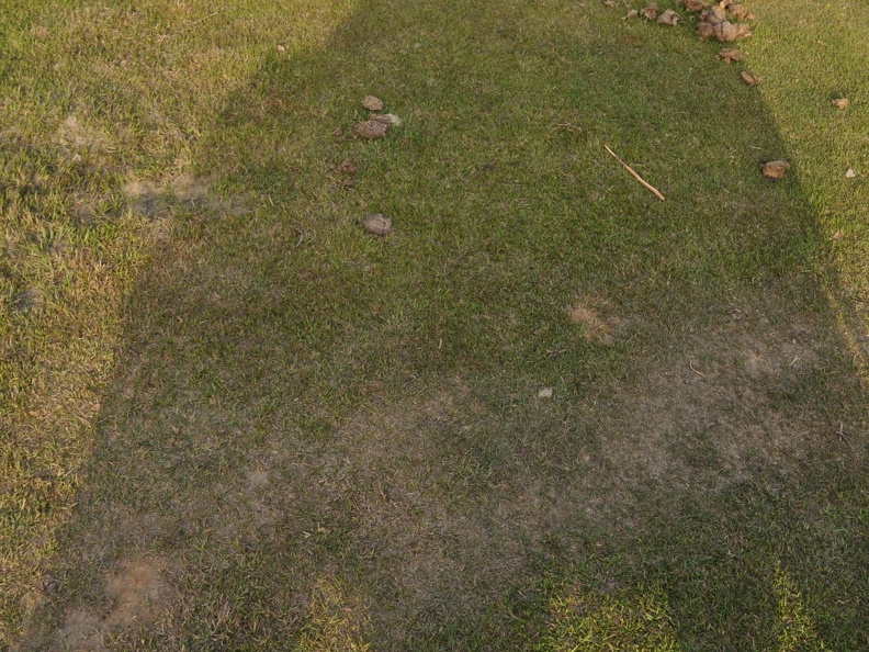 20120306-164056-D90