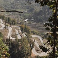 20120308-100303-D90.jpg