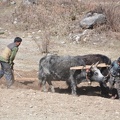 20120324-095519-D90.jpg