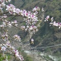 20120330-105317-D90.jpg