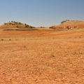 20120417-115933-D90.jpg