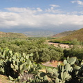 20120422-161012-D90.jpg