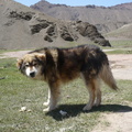20120424-103122-LS60.jpg
