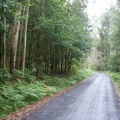 20120705-124442-LS60.jpg