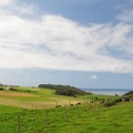 20120708-172854-D90.jpg
