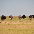 20120619-111951-D90.jpg