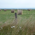 20120728-100957-LS60.jpg