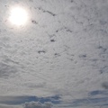 20120730-113657-D90.jpg