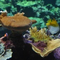 20120731-123138-D90.jpg