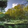 20120828-191950.jpg