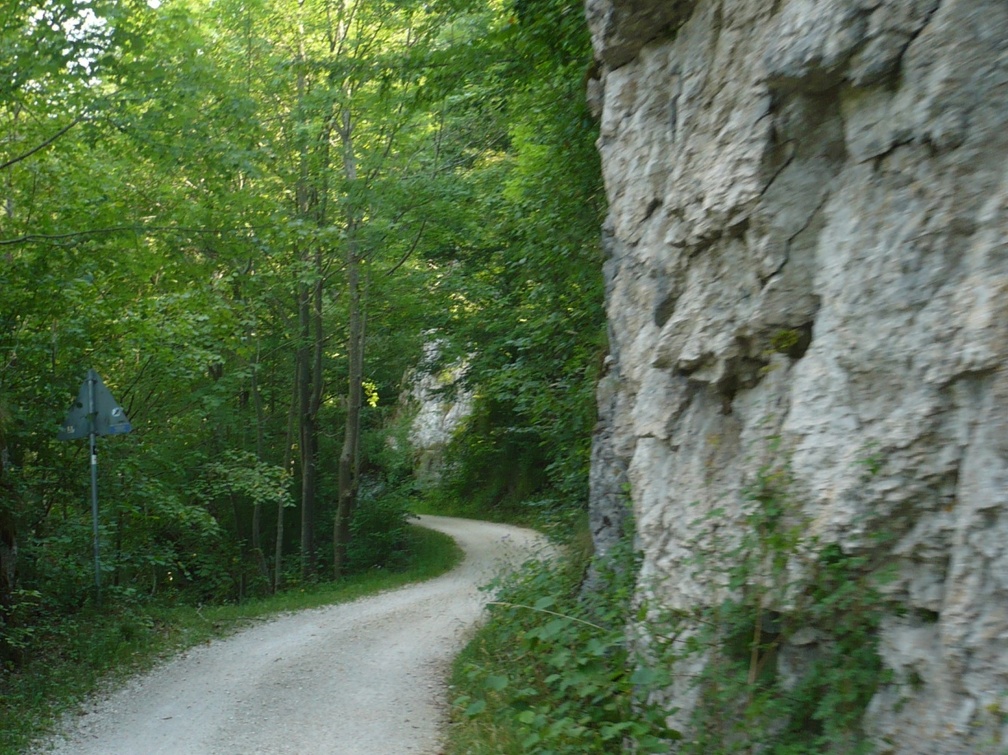 20100722-102626-LS60