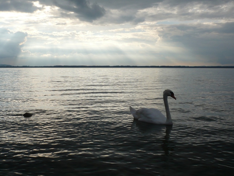 20100730-190521-LS60