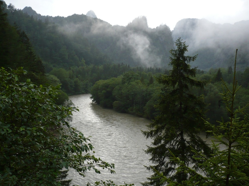 20100803-174611-LS60
