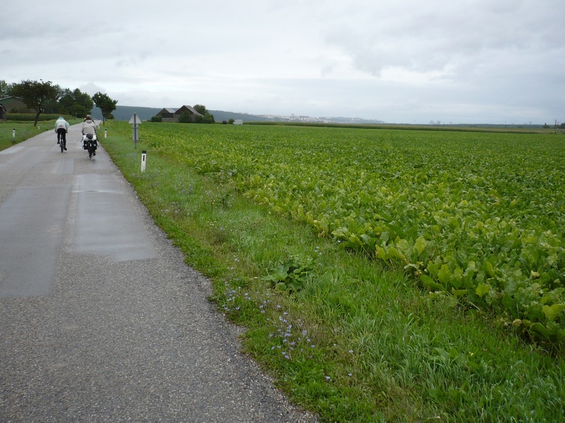 20100807-180326-LS60