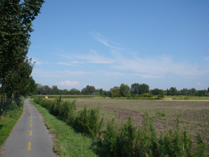 20100808-164908-LS60
