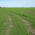 20100809-163938-LS60.jpg