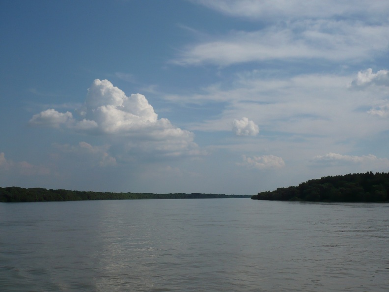 20100811-153418-LS60