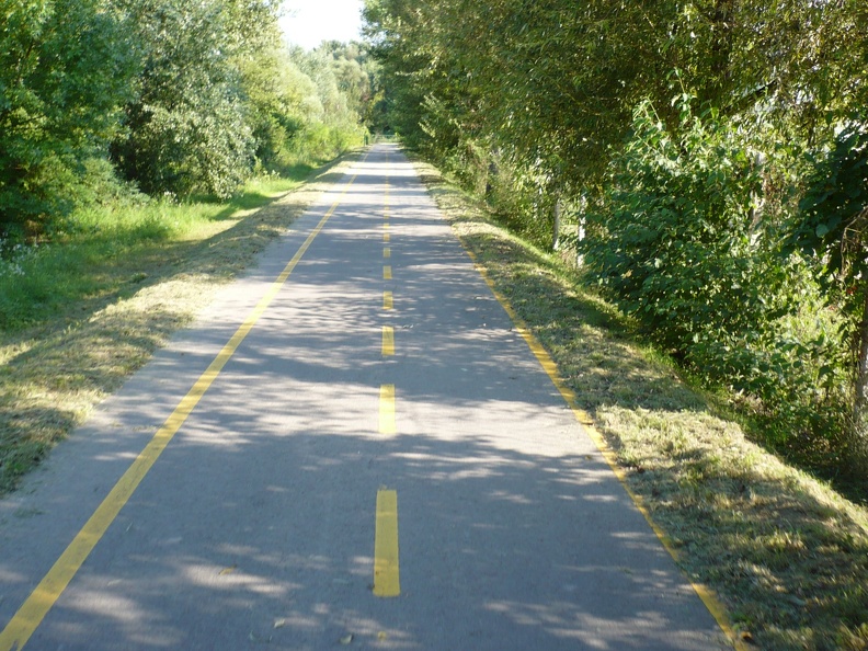 20100811-171452-LS60