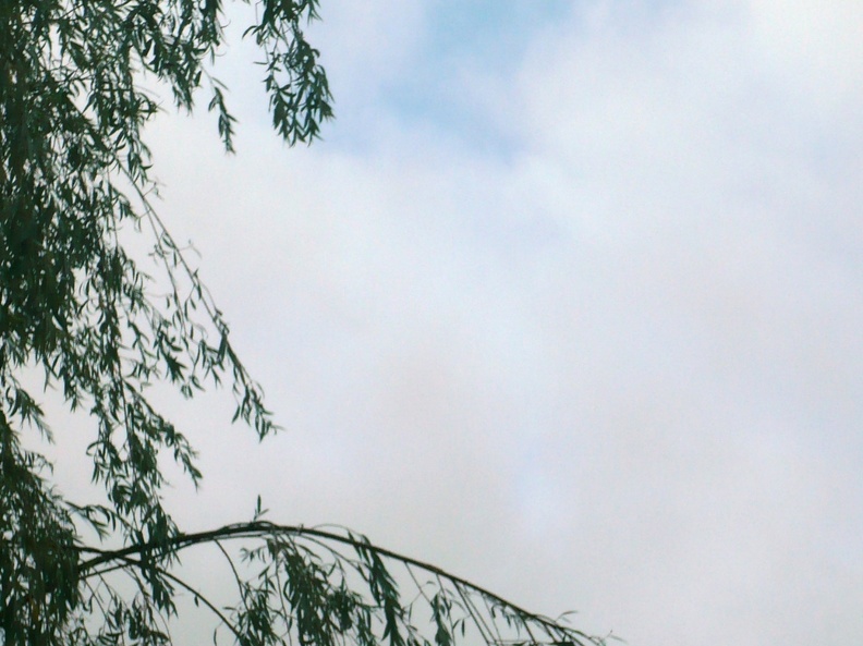 20100727-100701-LS60