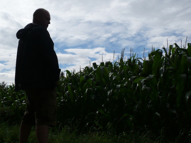 20100729-163908-LS60