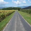 20090811-114437-LS60.jpg
