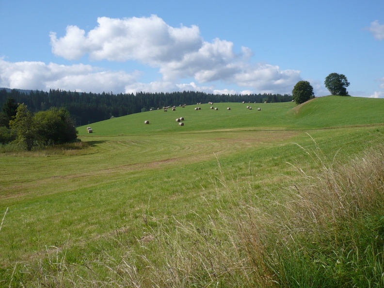 20090812-103102-LS60