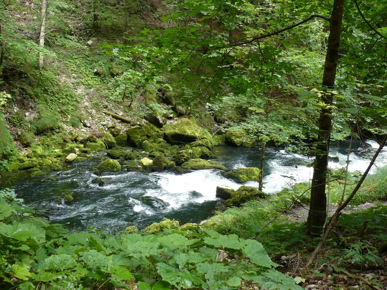 20090812-120558-LS60