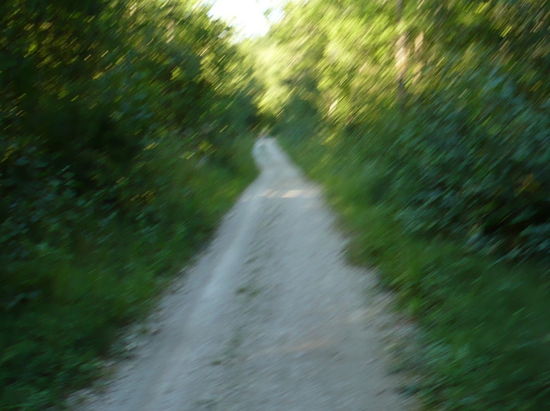 20090812-190549-LS60