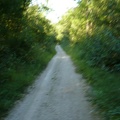 20090812-190549-LS60.jpg