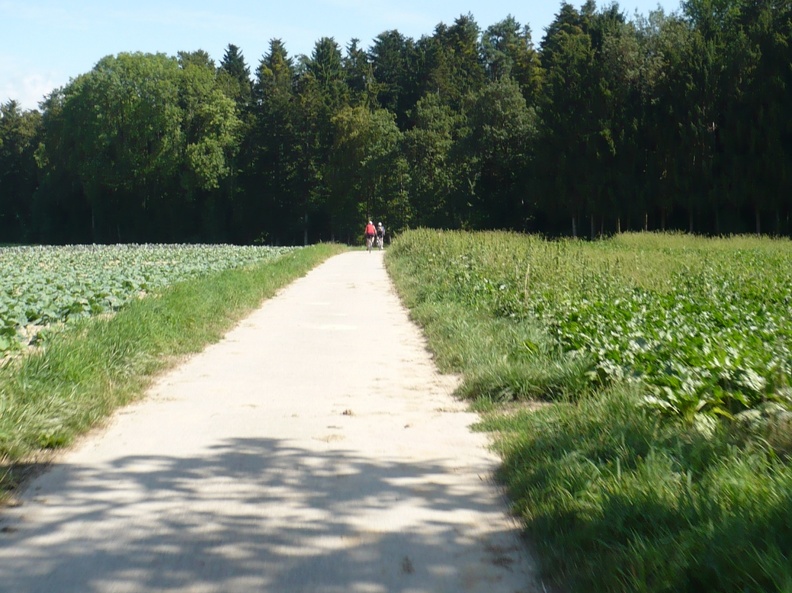 20090813-113339-LS60