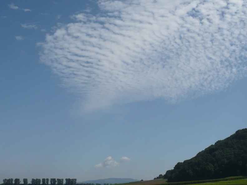 20090813-121816-LS60