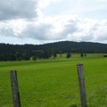 20090814-140309-LS60.jpg