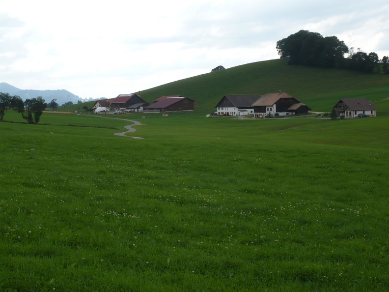 20090814-170316-LS60