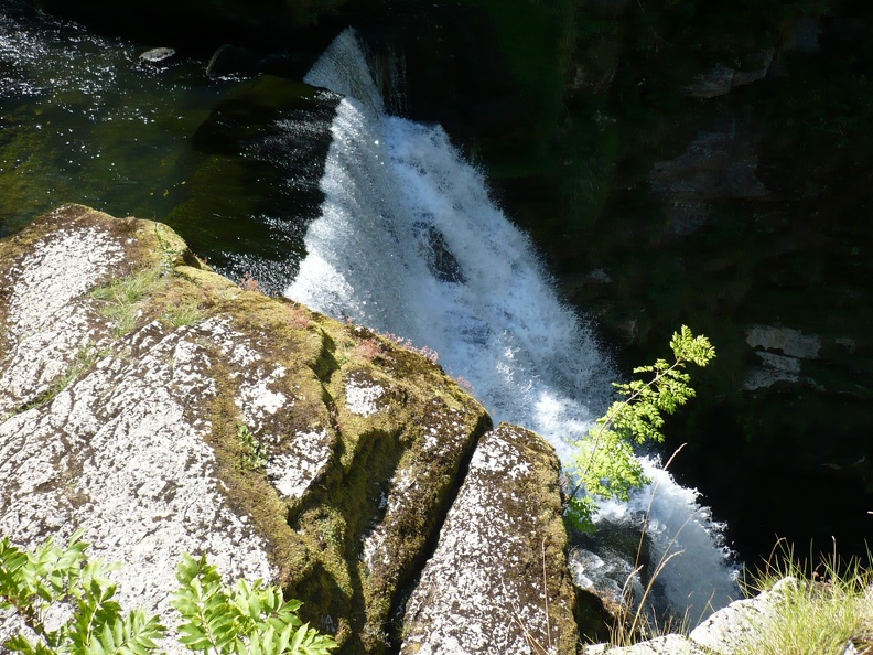 20090815-124131-LS60