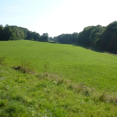 20090816-092640-LS60