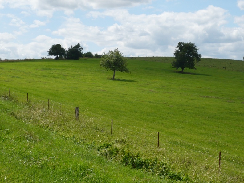 20090720-150735-LS60