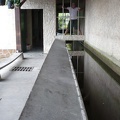 20090723-103736-LS60