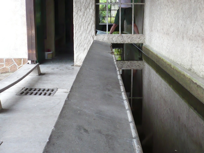 20090723-103736-LS60