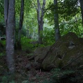 20090726-202807-LS60